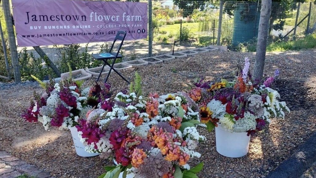 Pick your own bouquet at Jamestown Flower Farm this Mother's Day