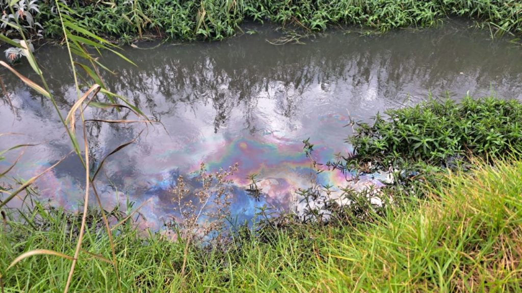 Locals outraged at clean-up response after fuel spill in Milnerton