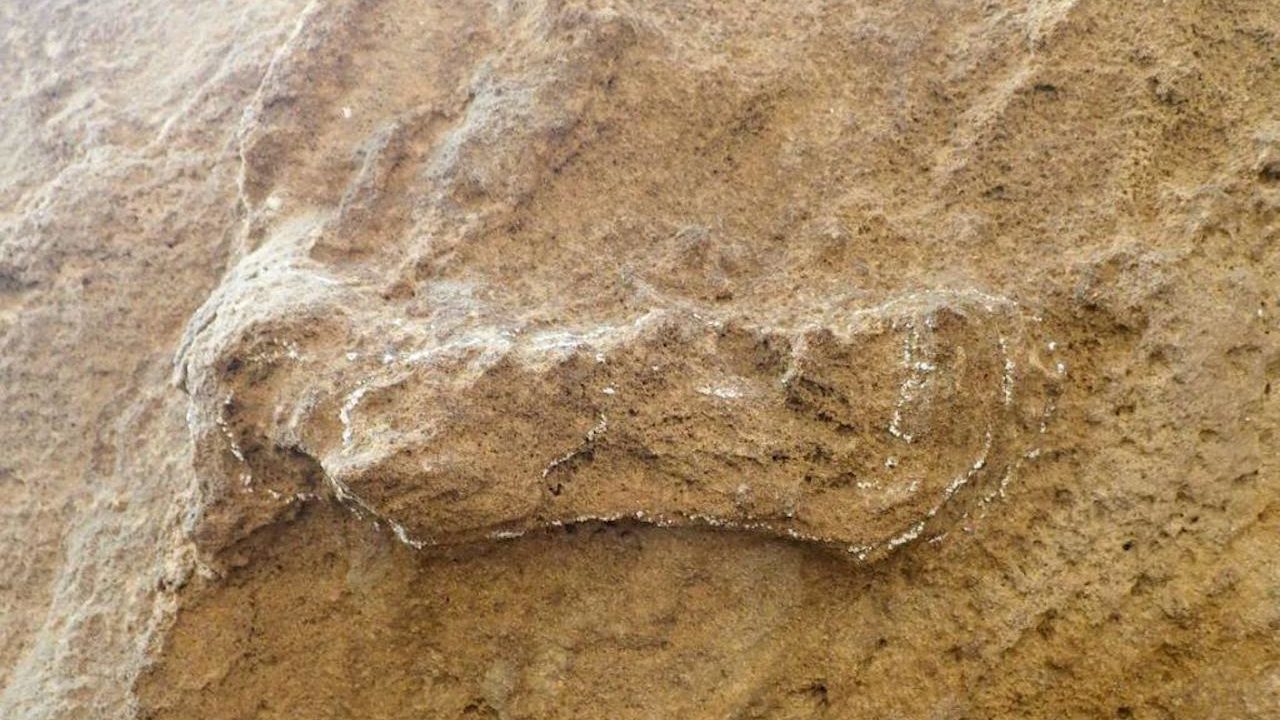 The world's oldest Homo sapien's footprint discovered in Cape south coast