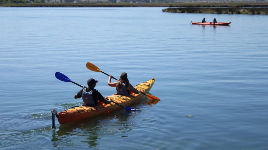 Why you should take up kayaking or canoeing and top spots to enjoy it