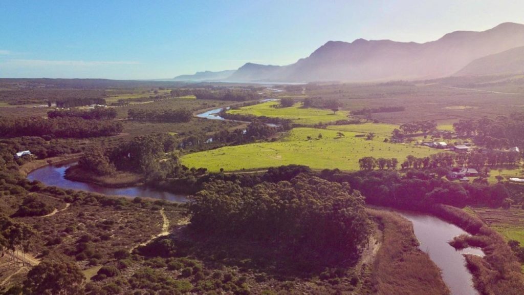 Running rampant in Stanford, the sleeping beauty of the Overberg