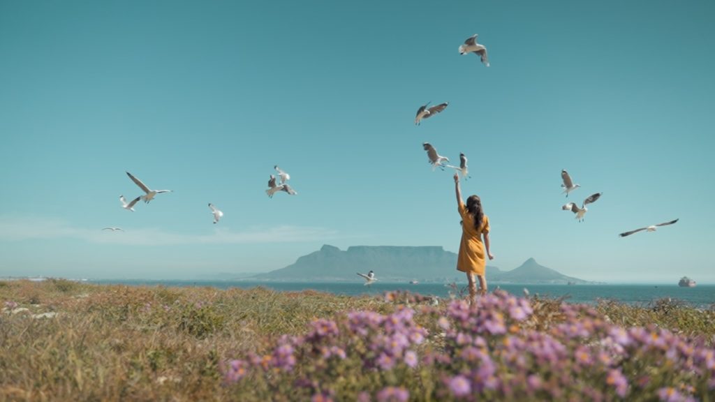 Watch: 5 TikToks to make you fall in love with Cape Town all over again