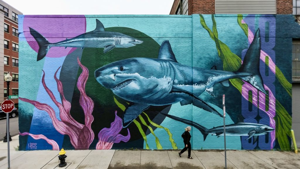 'Sea Walls: Artists for Oceans' comes to South Africa this year