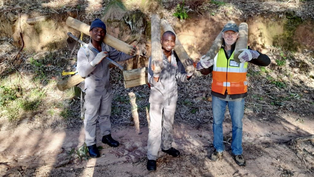 Conservation project makes strides in restoring Table Mountain's footpaths