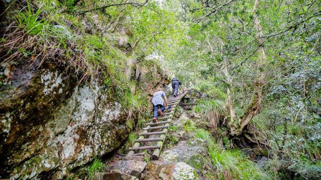 Bask in nature's elements with the Skeleton Gorge Waterfall hike