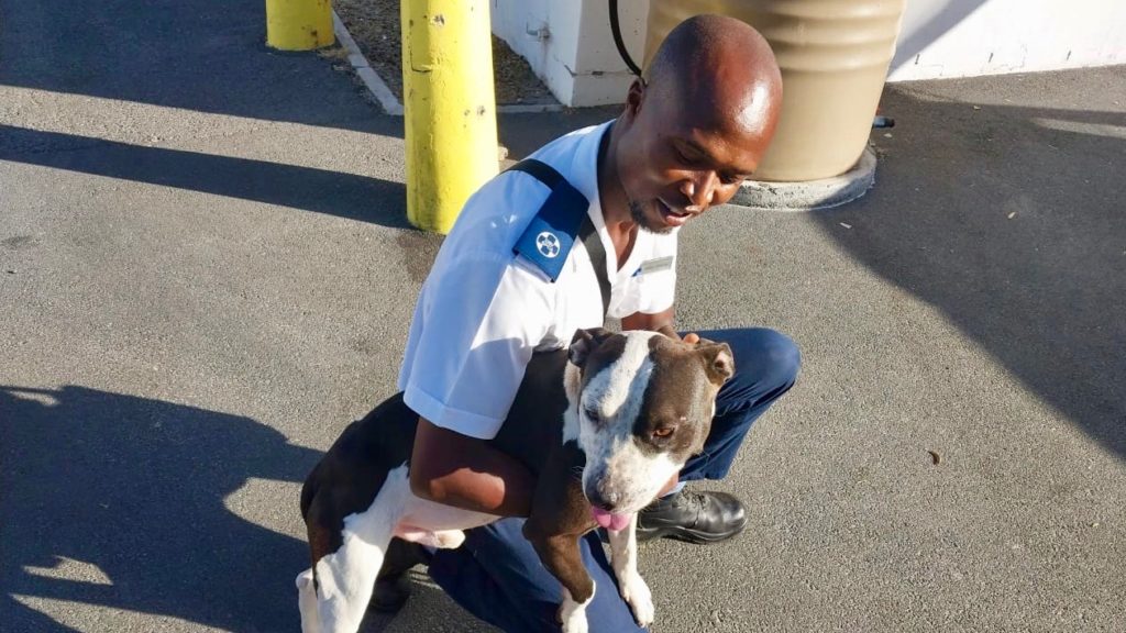 SPCA inspector survives hijaking and attempted kidnapping in Khayelitsha