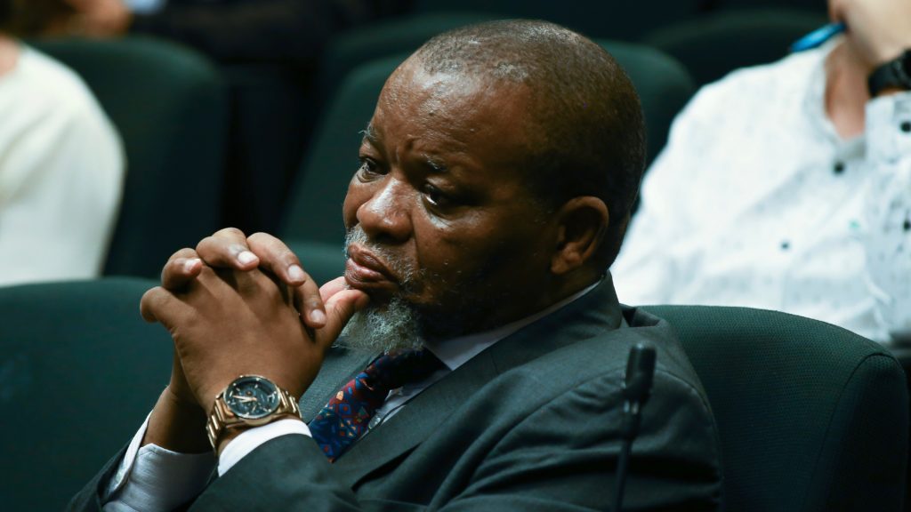 Twitter outrage over woman’s assassination comment targeting Mantashe