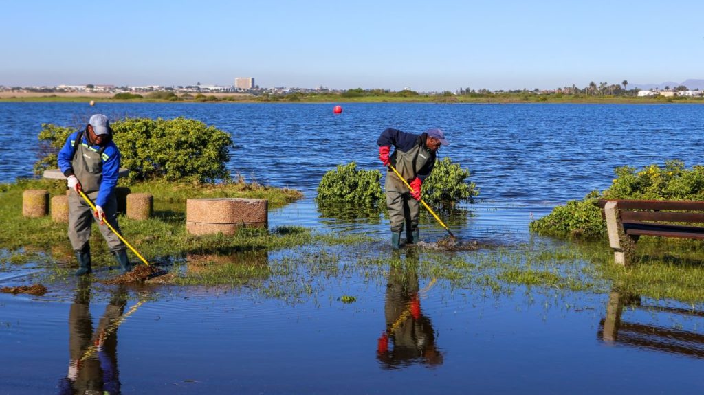Rietvlei Wetland temporarily closed due to flooding