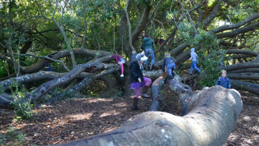 Entrance to Kirstenbosch Gardens is free for kids this school holidays