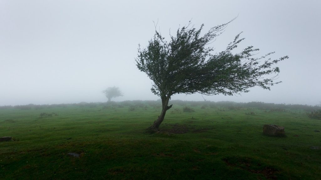 Western Cape sees another strong winds warning coming its way
