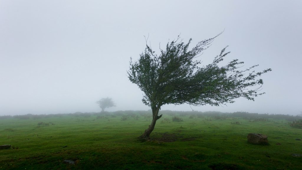 Yellow level 2: Damaging winds expected in parts of the Western Cape