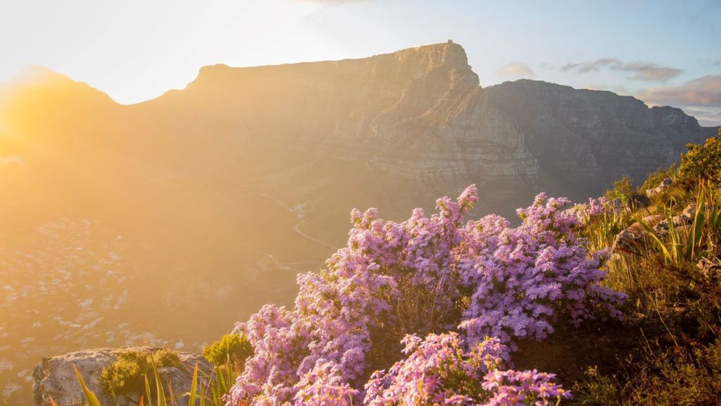 Table Mountain National Park gets 18 safety officers to help combat crime