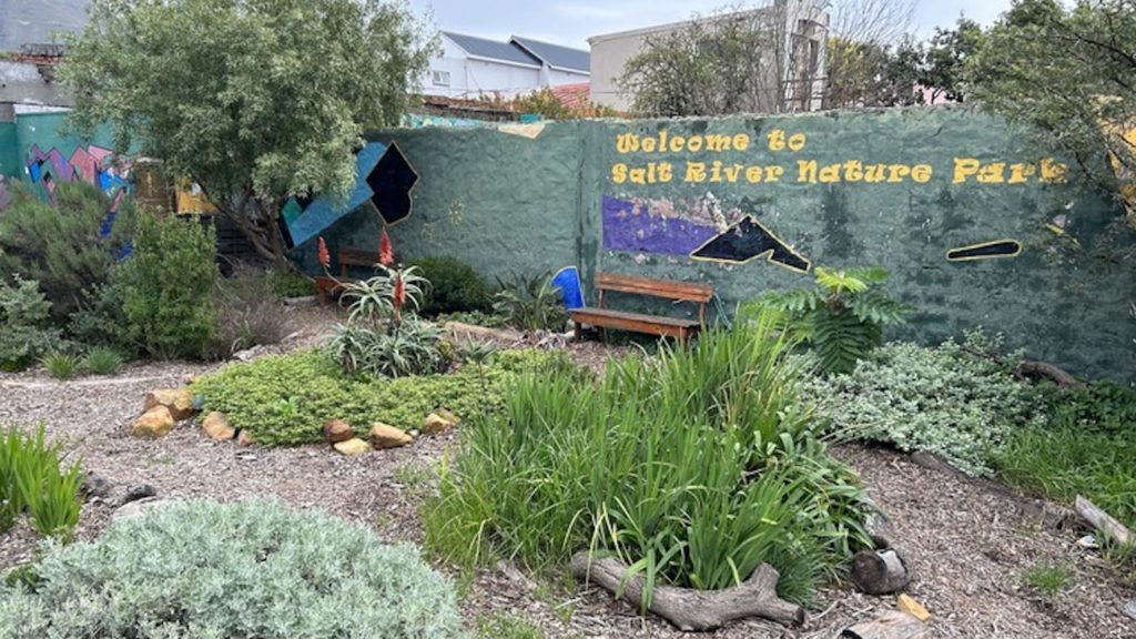 Community gardens bloom for vacant lots in Salt River