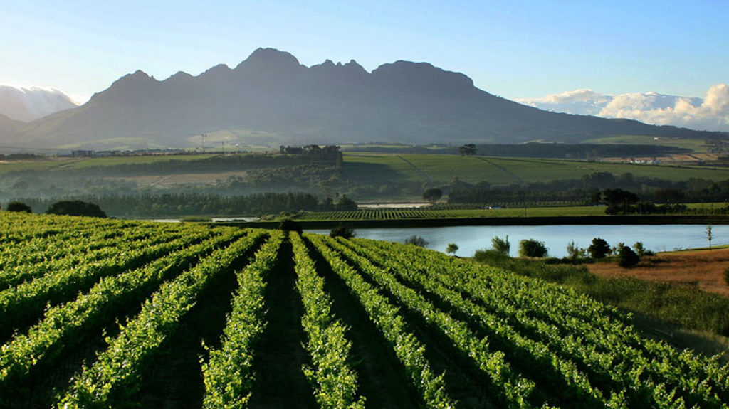 Travel bug: Discounted winter escapes in the Cape Winelands