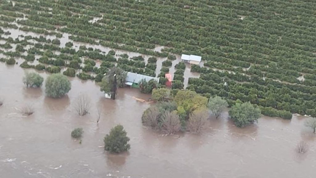 Agricultural damage after recent floods estimated to cost millions