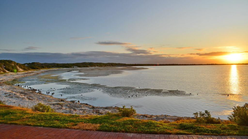 Experience nature's wonders with De Hoop's newest 'Vlei to Whales' trail