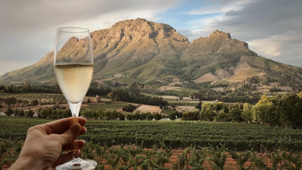 Wine Town is a week of Stellenbosch's finest