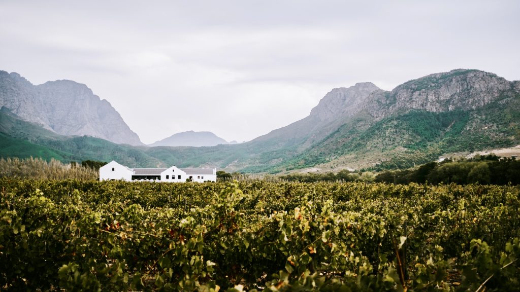 Sip, savour and stay over: Accommodation on or near wine estates