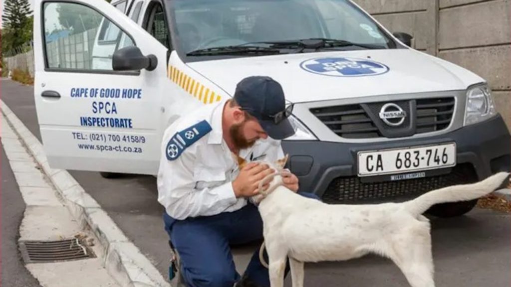SPCA temporarily suspends services in taxi strike-affected areas