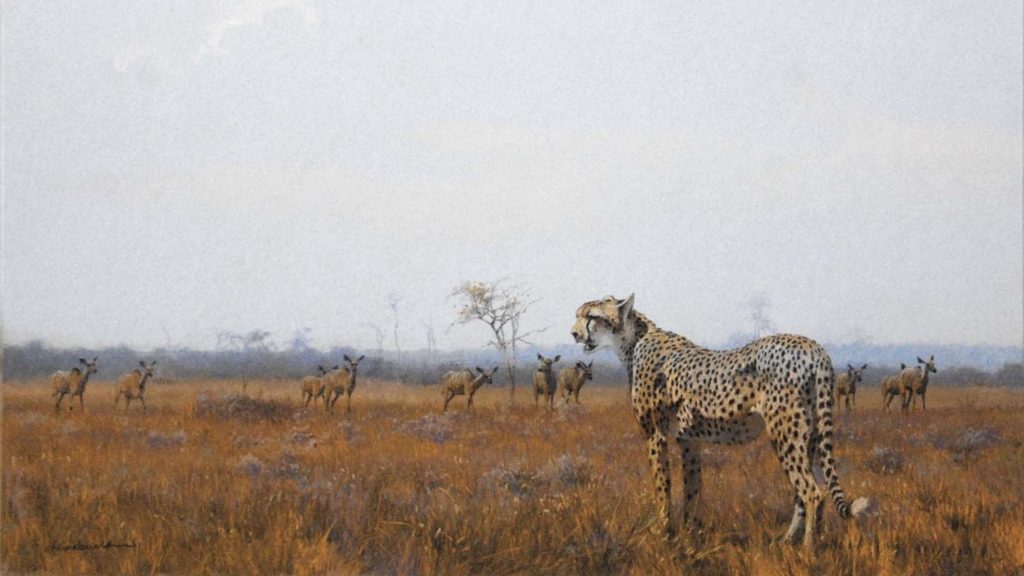 Kim Donaldson Gallery: Where African wilderness comes to life on canvas