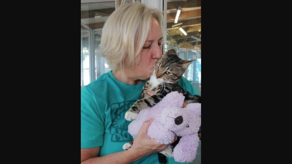 A purrfect ending: Kittie involved in cat-throwing incident finds new home