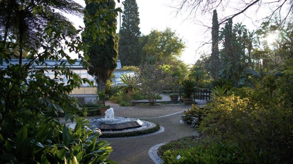 Stellenbosch University Botanical Garden: 100 years of conservation