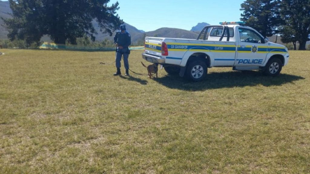 Major mandrax busts by Swartland, Overstrand and Mossel Bay K-9 units