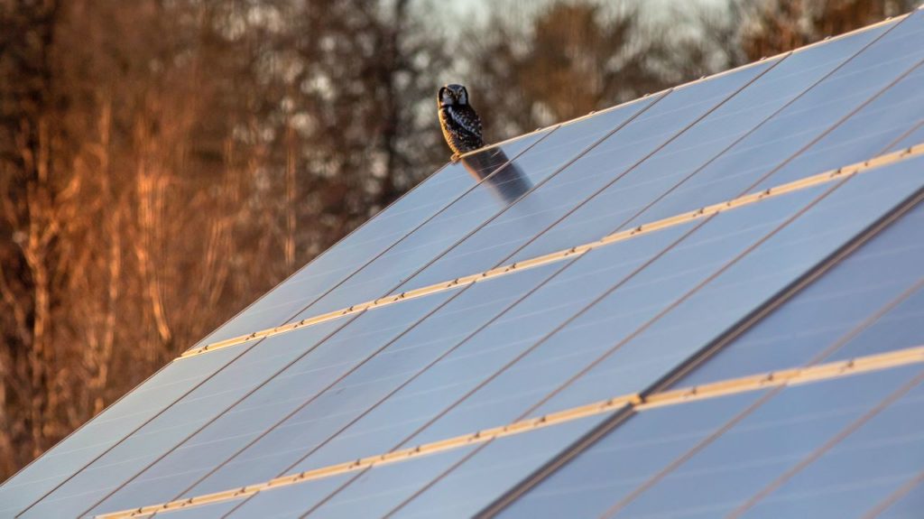 Brackenfell high school to install additional 144 solar panels