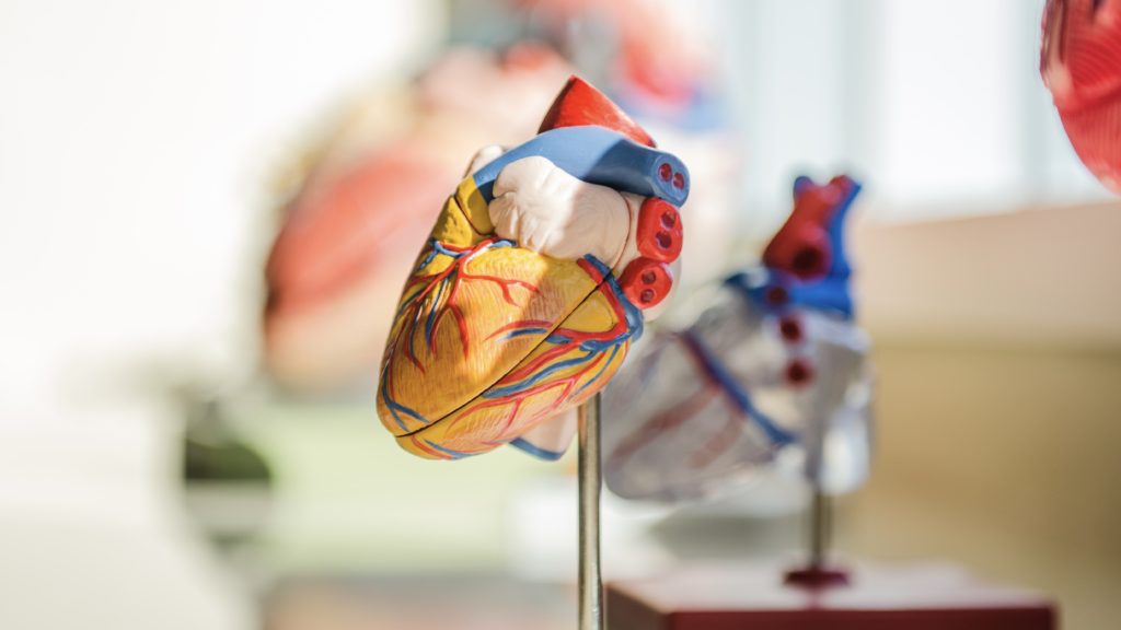 World Heart Day shines a spotlight on the WC's heart surgery successes