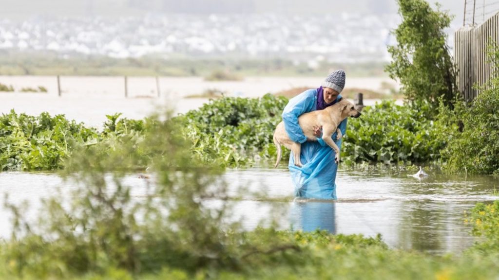 The Western Cape storm in pictures