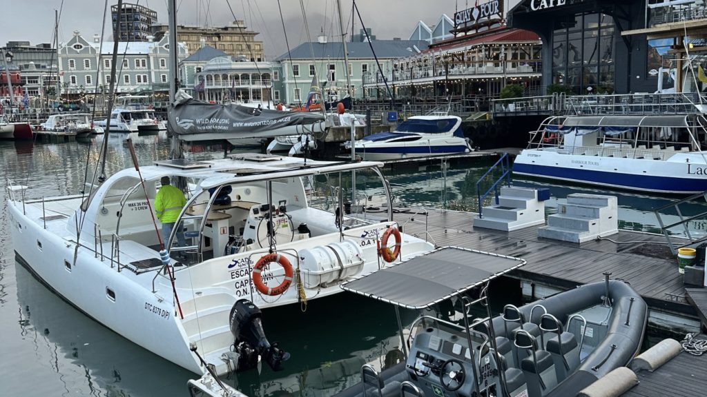Boatica Cape Town 2023: A celebration of watercraft and more