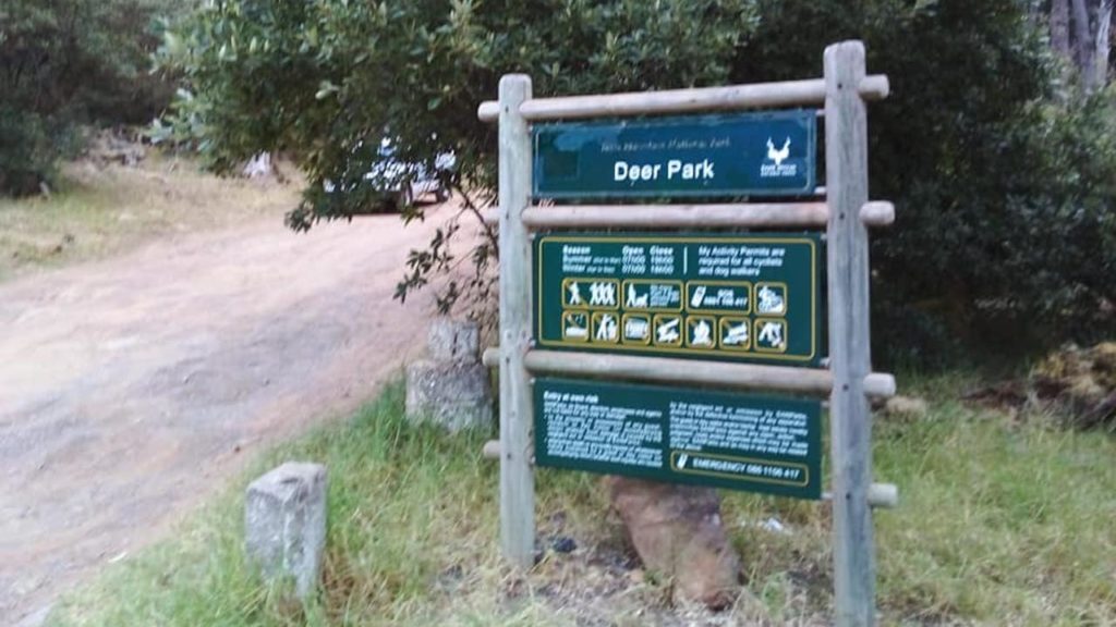 Safety concerns raised after local woman was raped at Deer Park