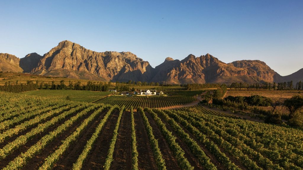 Brookdale Estate shines in the Best of Wine Tourism Awards 2024