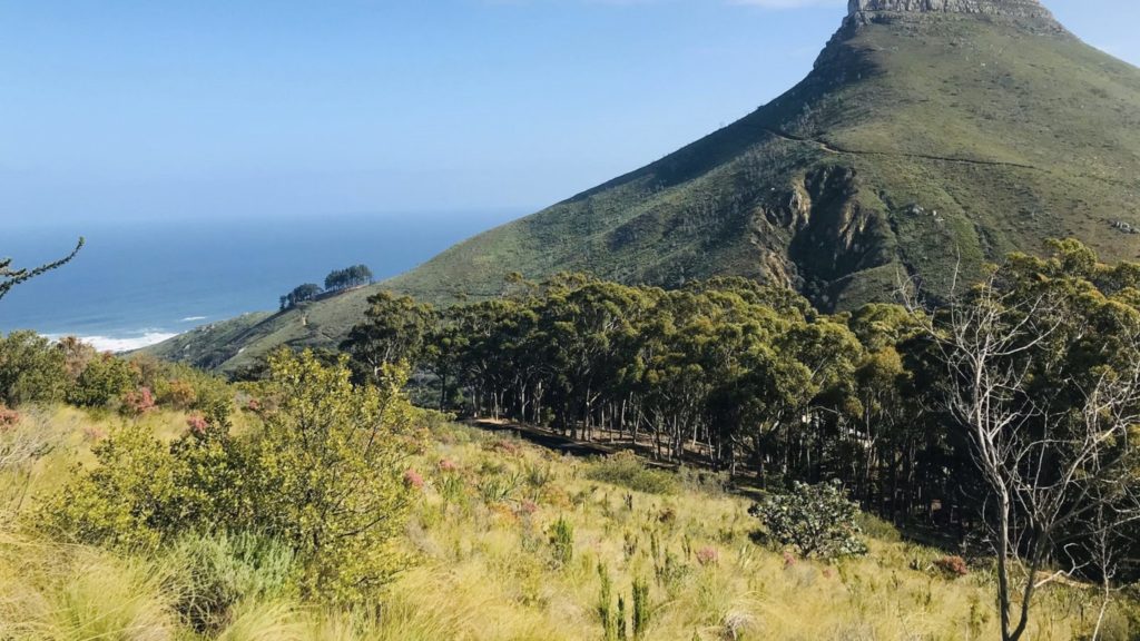 These Western Cape hiking trails are closed this season