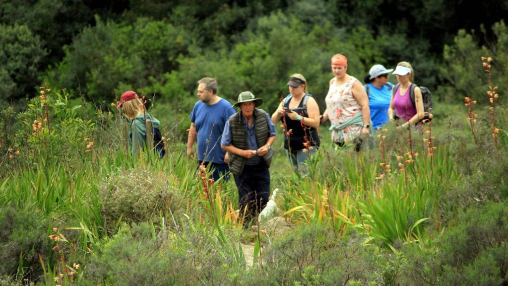 Garden Town Stellenbosch to showcase Bottelary Hills Renosterveld Conservancy