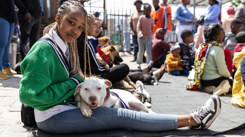 Khayelitsha animal clinic celebrates birthday with lively dog show