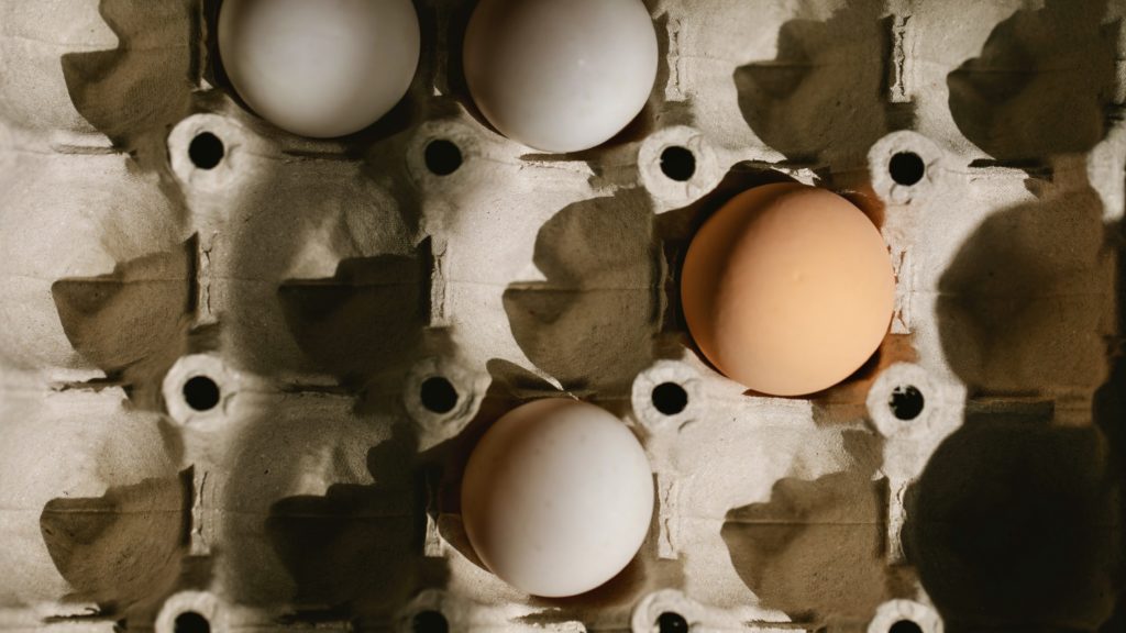 Avian flu pushes South African retailers to enforce egg purchase limits