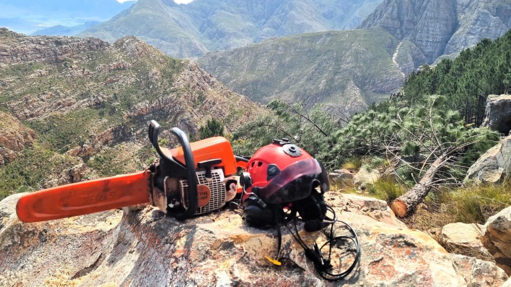 Helihackers remove over 2 000 invasive trees from Table Mountain