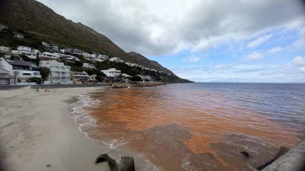 Look: Red tide turns seawater murky in Gordon's Bay