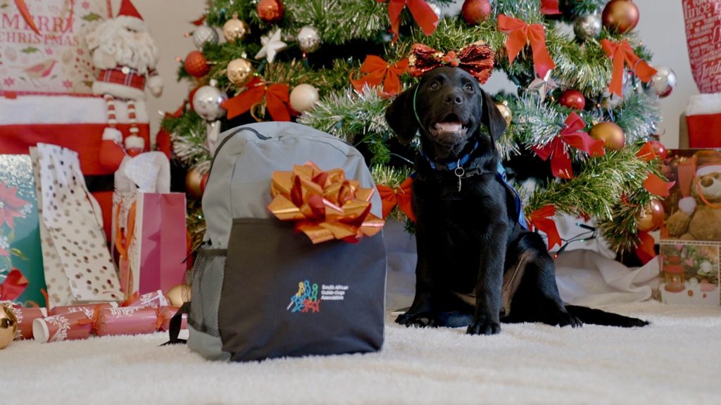 Christmas cheer at SA Guide-Dogs Association: Here's the pups' wish list