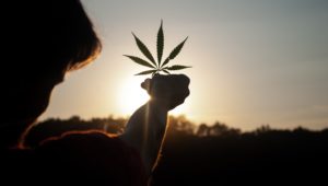 Cannabis for Private Purposes Bill
