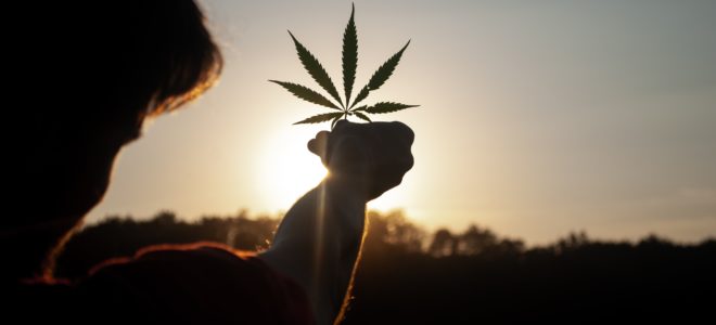 Cannabis for Private Purposes Bill
