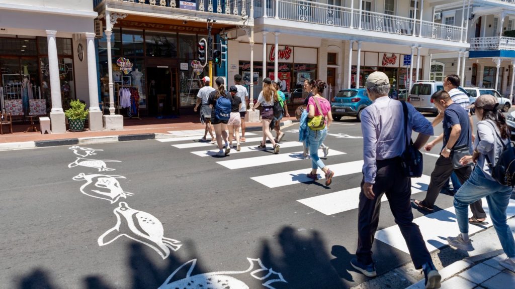Simon's Town reveals a newly painted penguin-themed pedestrian crossing