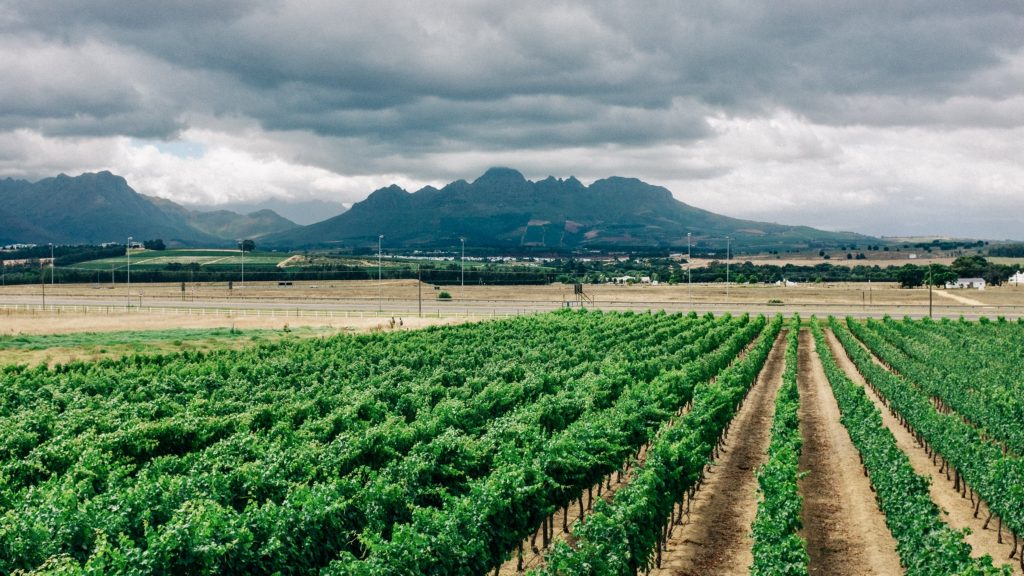 Western Cape scores 83% success rate in land reform report