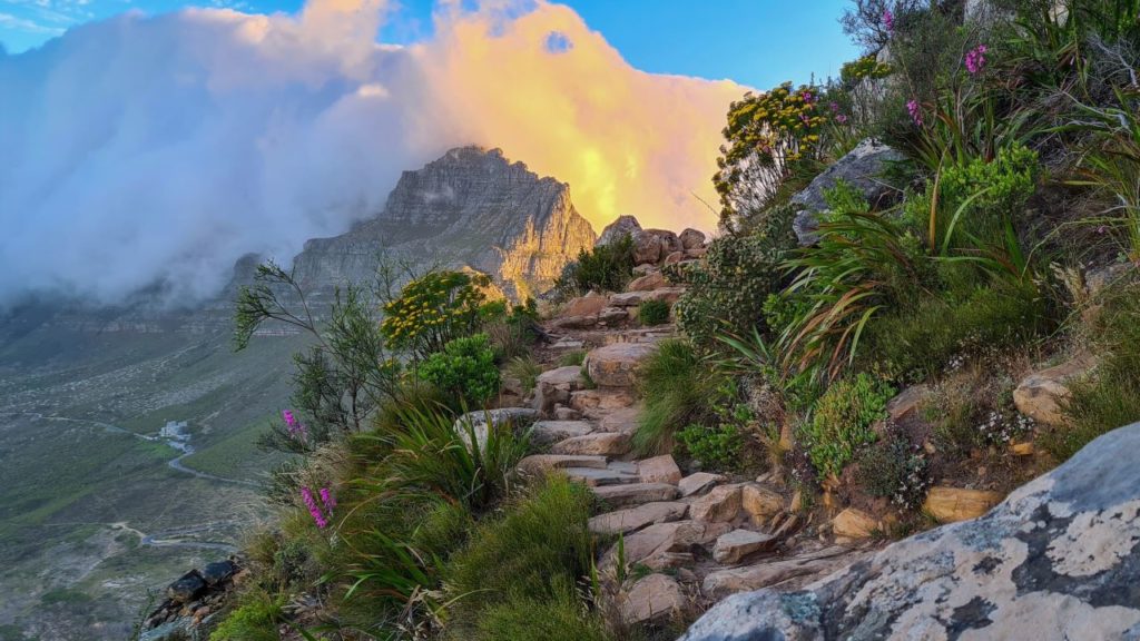 Lion's Head sunset hikes postponed indefinitely due to muggings