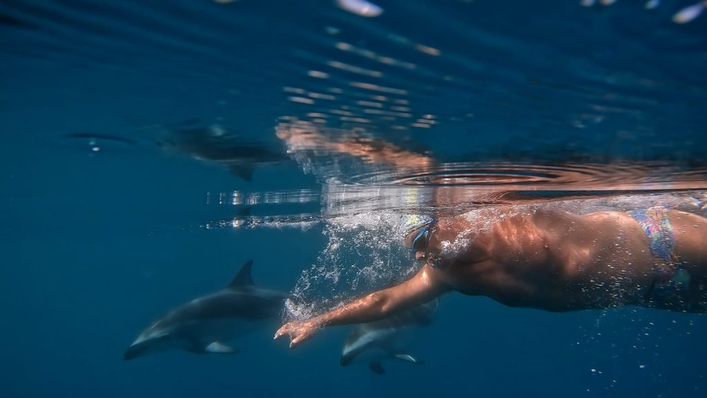 Cape Town man swims with dolphins on 169th Robben Island crossing