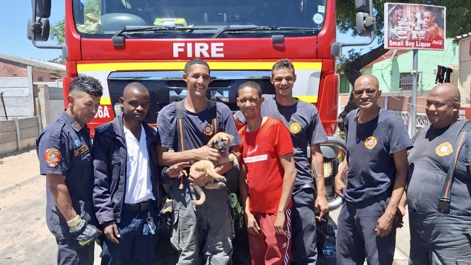 SPCA trainee inspector and City firefighters rescue a puppy stuck in a wall