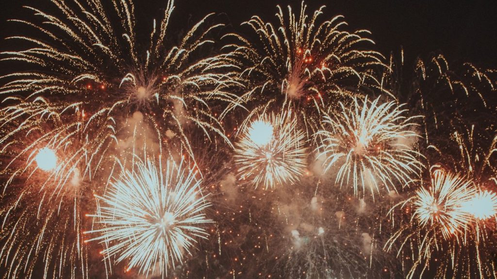 SPCA calls on pet owners to record animals’ reactions to fireworks
