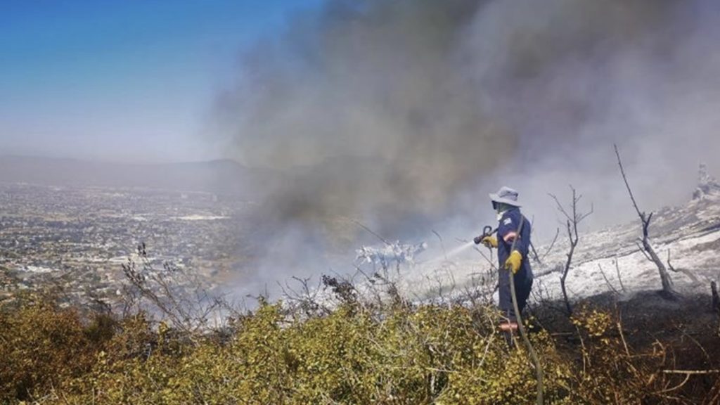 Tygerberg Nature Reserve temporarily closed after fire