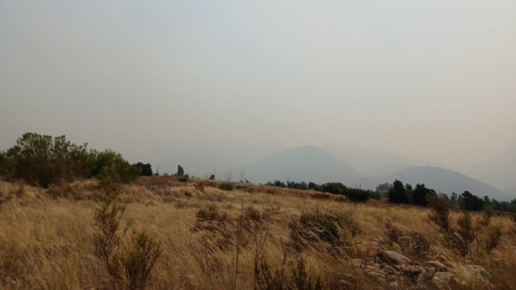 Update on Cape Winelands fires: A challenging day for firefighters